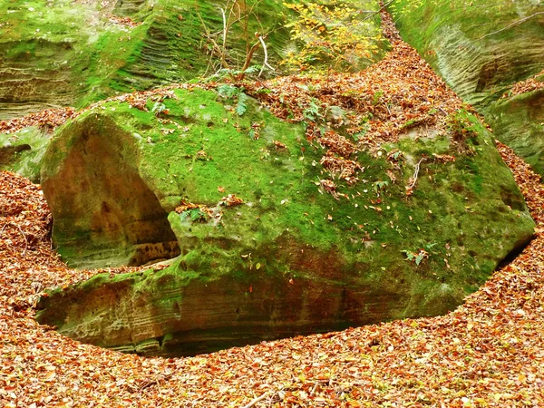 stock image Old boulder