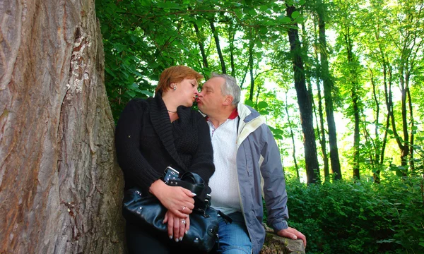 Stock image Senior couple