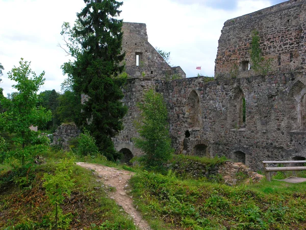 stock image Ruins of old castle