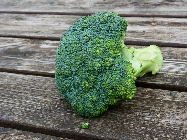 Groene broccoli — Stockfoto