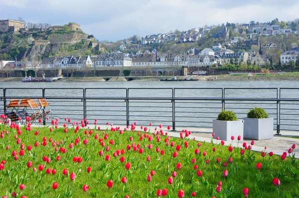 성 Ehrenbreitstein Koblenz, 독일 — 스톡 사진