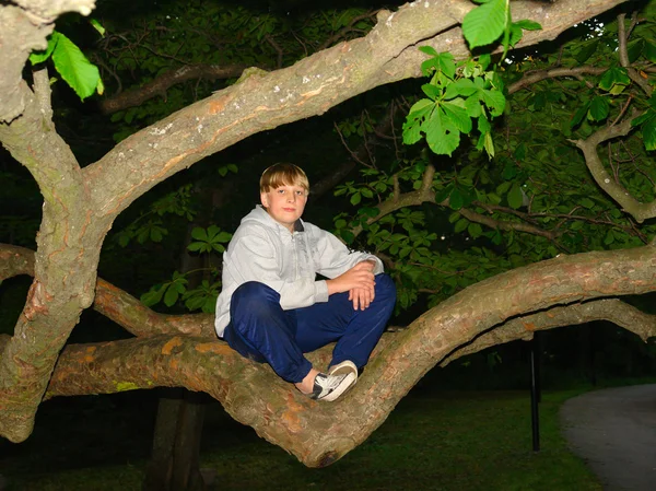 Ragazzo adolescente seduto sull'albero — Foto Stock