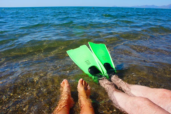 Deux paires de pattes dans l'eau de mer — Photo