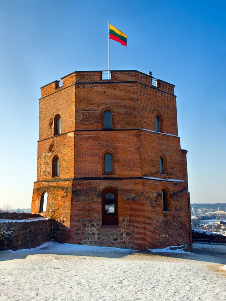 stock image Gediminas Castle Tower in Vilnius