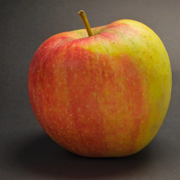 リンゴ品種のチャンピオン — ストック写真