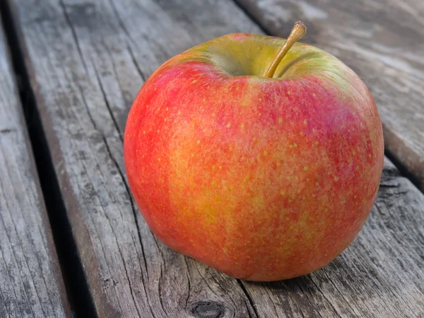 Jablko odrůdy šampion — Stock fotografie