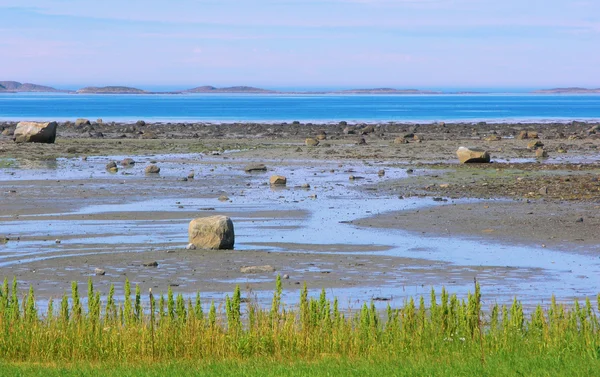 Морской берег со скалами — стоковое фото