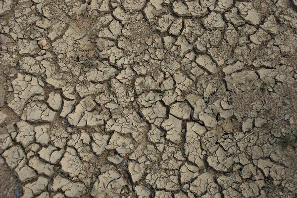 乾燥の地面 — ストック写真