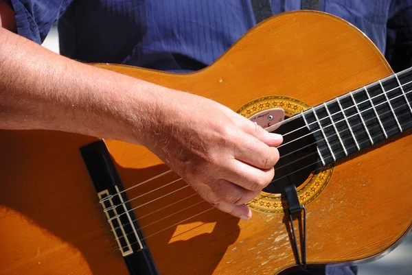 Akustik gitar çalan müzisyen.