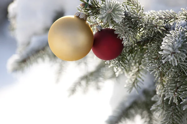 İki Noel top — Stok fotoğraf