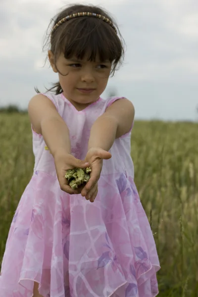 Детский фермер держит зерно — стоковое фото
