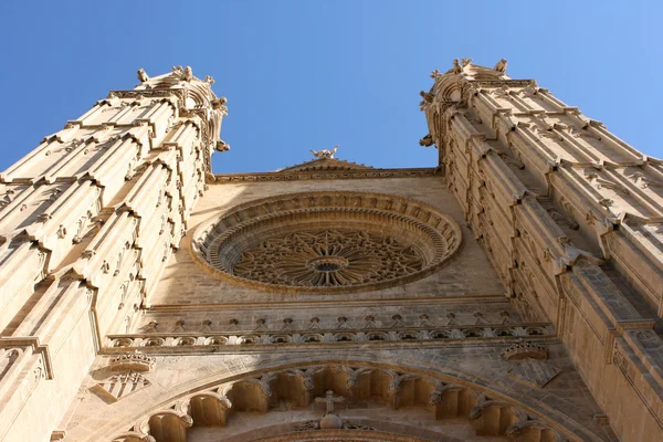 Palma Katedrali'ne