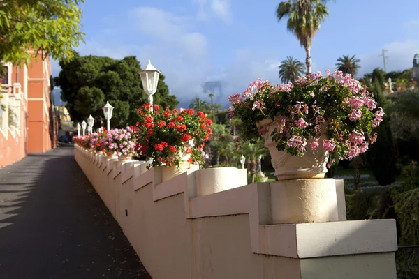 Stock image La Orotava