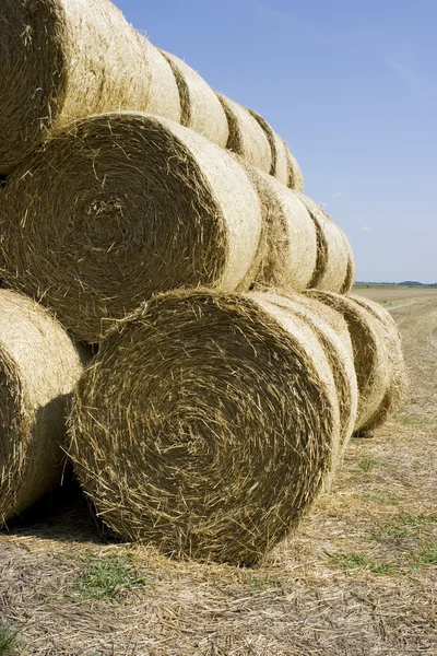 stock image Hay Bale Landscape