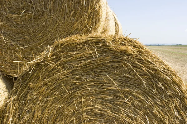 Hay Bale Landscape — Stock Photo, Image
