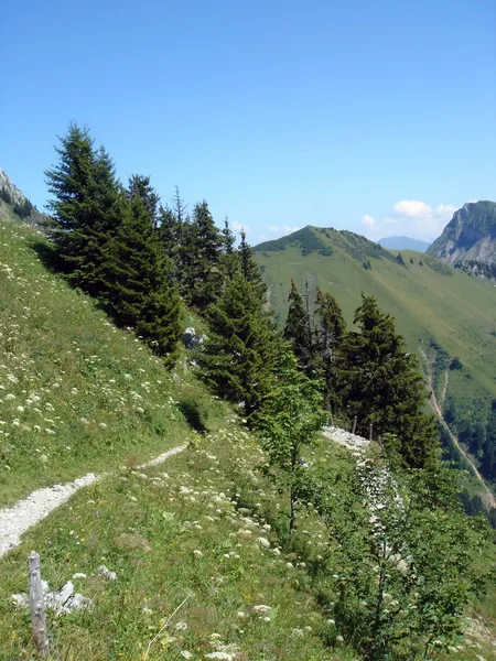 Alpes suizos para el verano — Foto de Stock