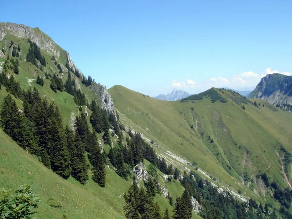 Schweizer Alpen im Sommer — Stockfoto