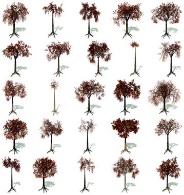 Autumn trees set clipart