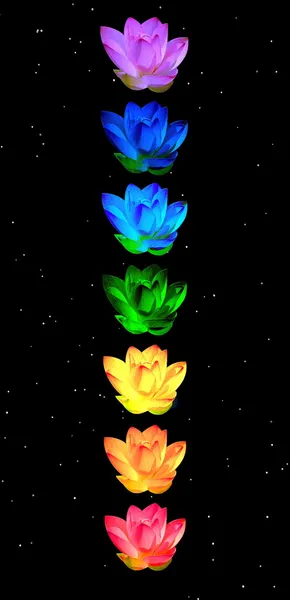Chakra-Farben der Lilienblüten — Stockfoto