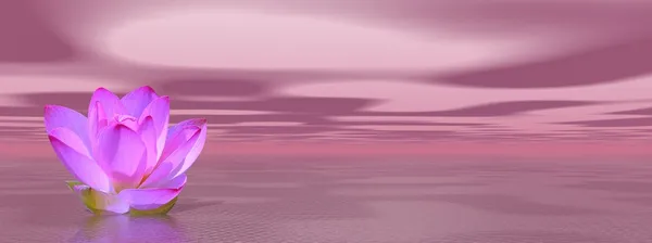 Цветок Лили в фиолетовом океане — стоковое фото
