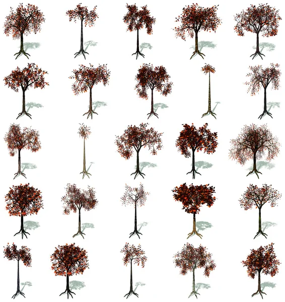 Sonbahar ağaçlar set — Stok fotoğraf