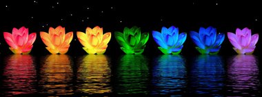 Lily flowers chakras