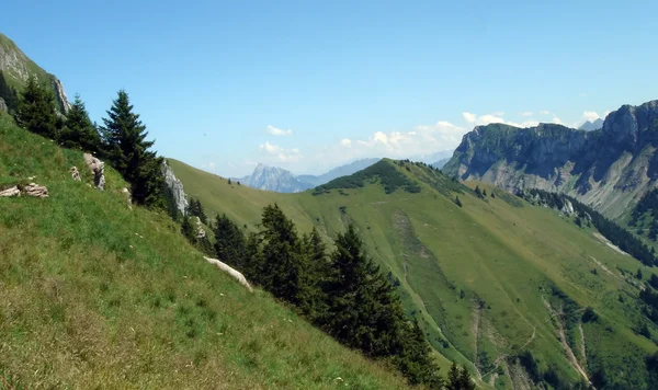 Zwitserse Alpen in de zomer — Stockfoto