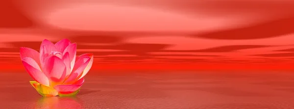 Цветок Лили в красном океане — стоковое фото