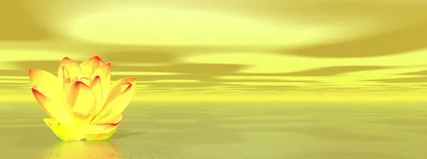 Квітка лілії в жовтому океані — стокове фото