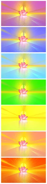 Chakra colors of lily flower un der rainbow — Stock Photo, Image