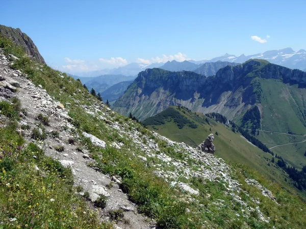 瑞士的阿尔卑斯山的夏天 — 图库照片