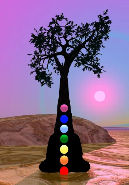 Chakra in meditazione sotto un albero — Foto Stock