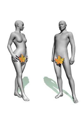 Adam and Eve clipart