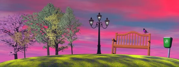 Zonsondergang in een park — Stockfoto