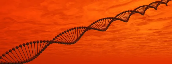 Cadena ADN —  Fotos de Stock