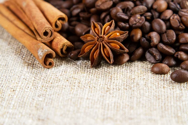 Kahve çekirdekleri ile baharat — Stok fotoğraf