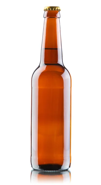 Beer bottles isolated on white background — Stock Photo, Image