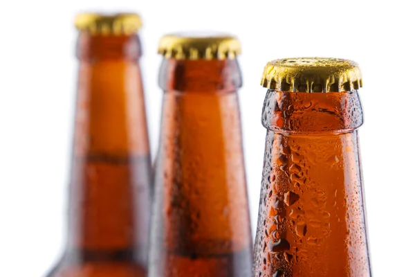 Beer bottles isolated on white background — Stock Photo, Image