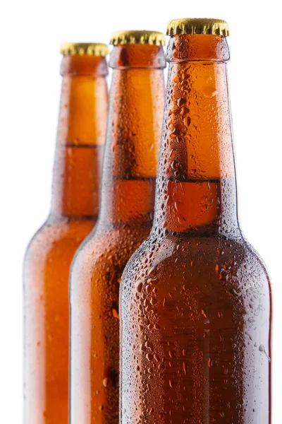 Botellas de cerveza aisladas sobre fondo blanco —  Fotos de Stock