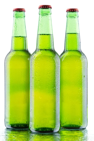Botellas de cerveza aisladas sobre fondo blanco —  Fotos de Stock