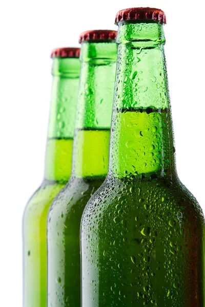 하얀 배경에 분리 된 맥주 병들 — 스톡 사진