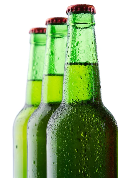 Botellas de cerveza aisladas sobre fondo blanco —  Fotos de Stock