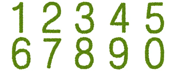 Zelené listy číslo — Stock fotografie
