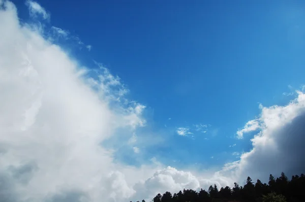 Wolken über dem Bergwald — Stockfoto
