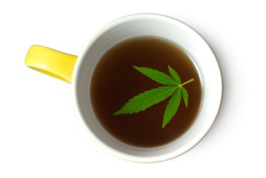 Hemp (Cannabis) leaf in cup of tea clipart
