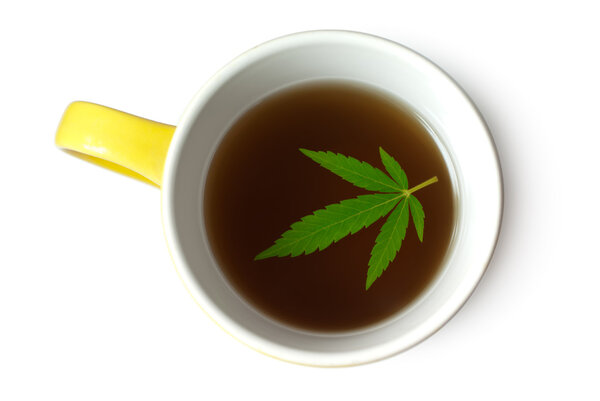 Hemp (Cannabis) leaf in cup of tea