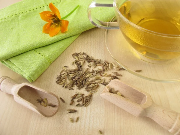 Fennel tea — Stock Photo, Image