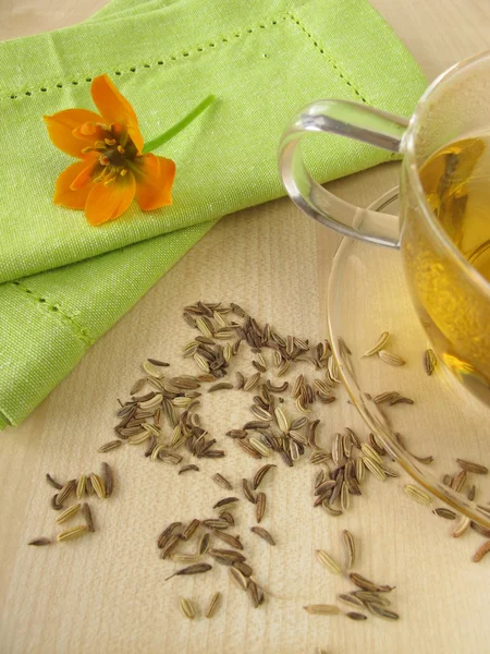 Herbata z wyciągów ziołowych — Zdjęcie stockowe
