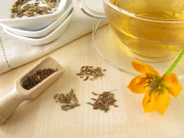 Чай з анісу фенхеля — стокове фото