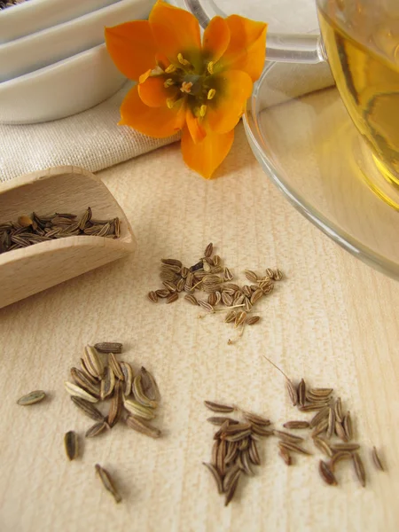 Fennel anise caraway tea — Stock Photo, Image